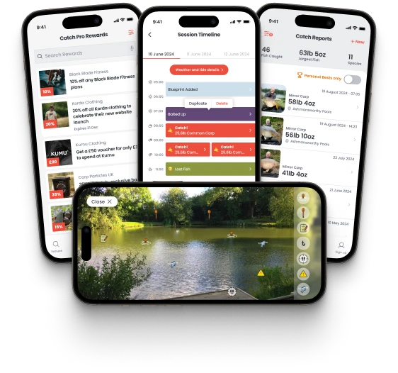 GoCatch project screenshot